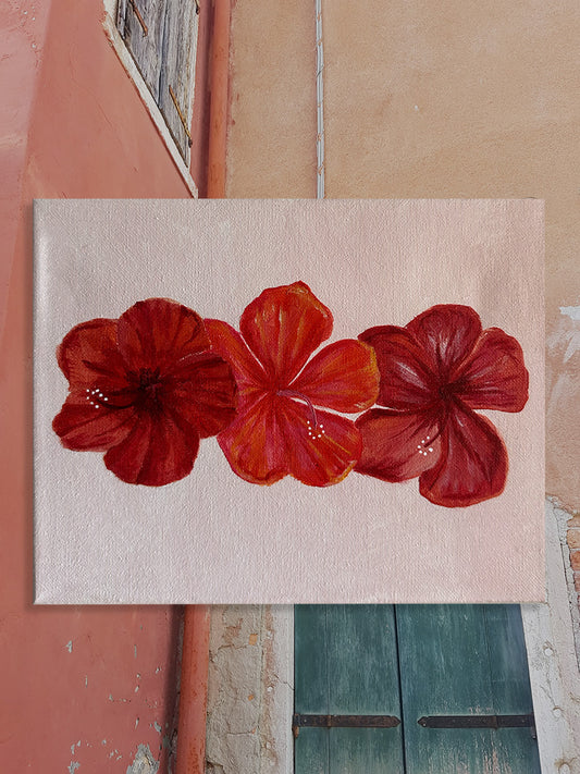 HIBISCUS BLUSH - ORIGINAL