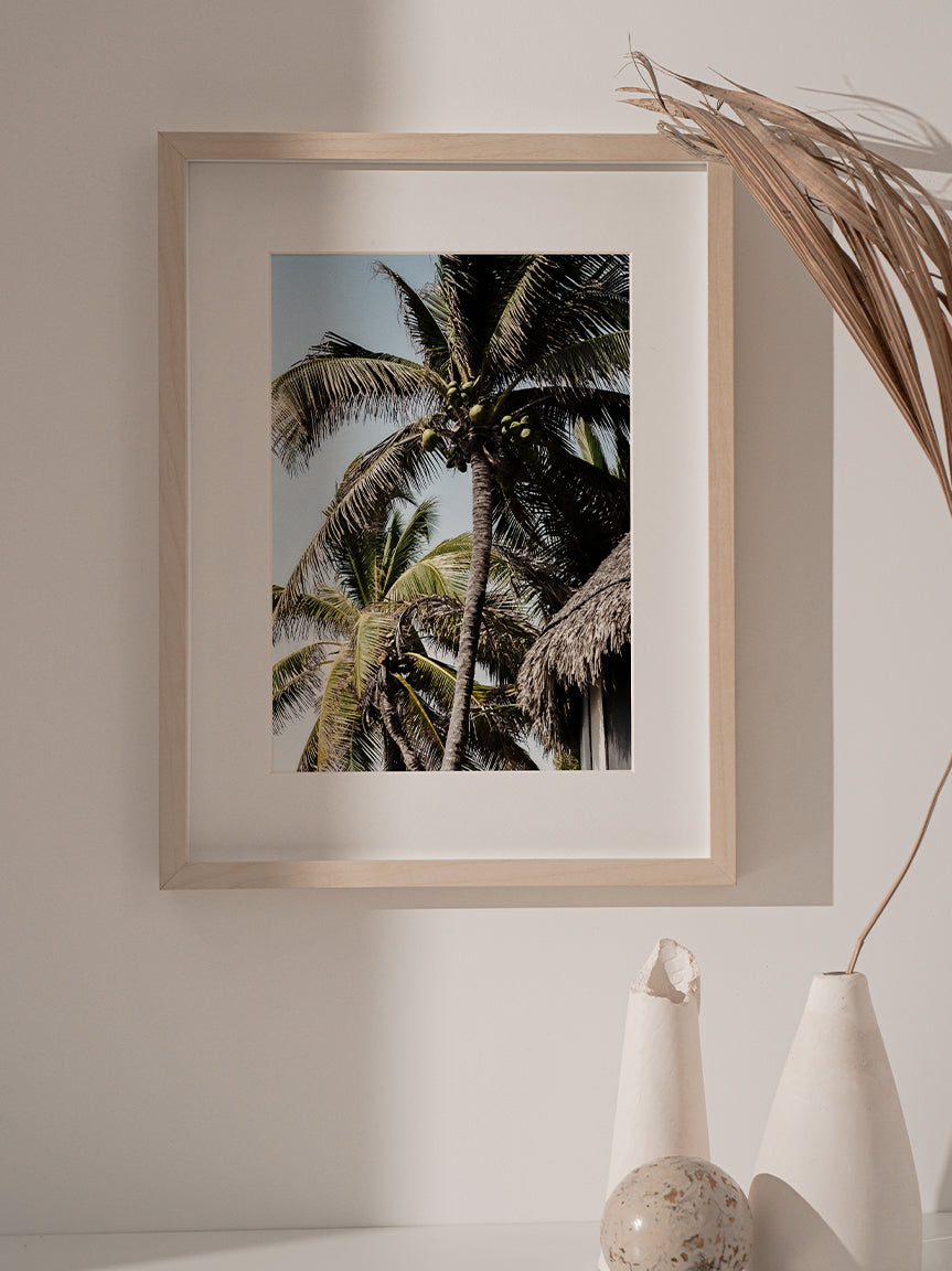 TROPICAL PALMS PHOTO PRINT