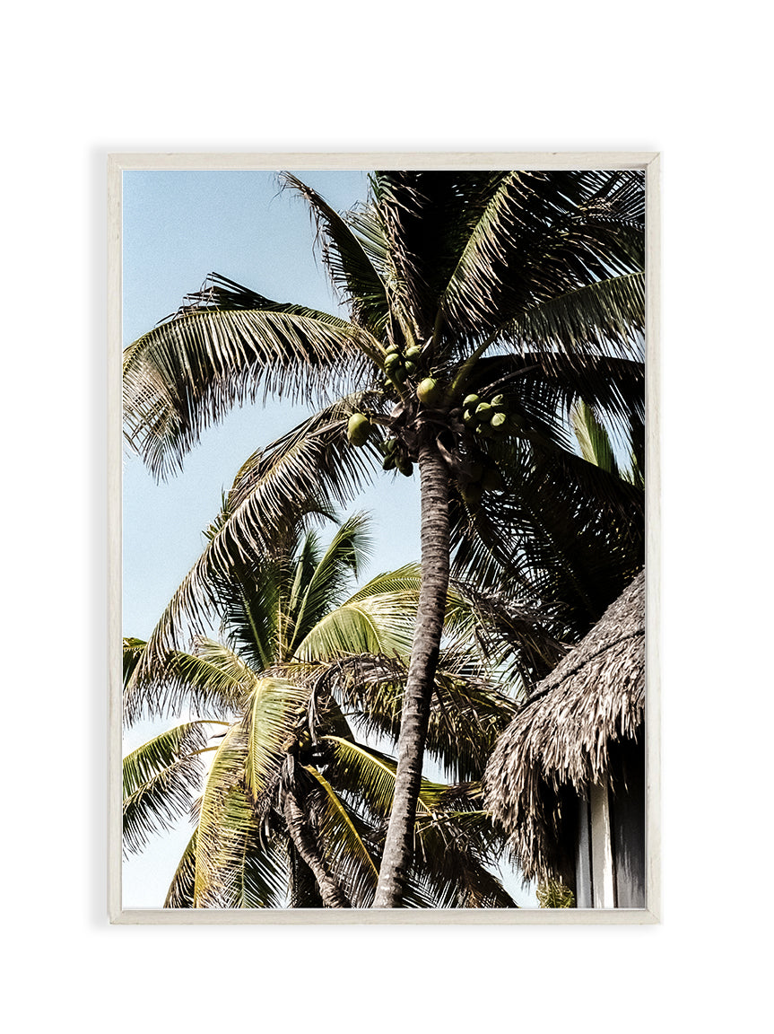 TROPICAL PALMS PHOTO PRINT